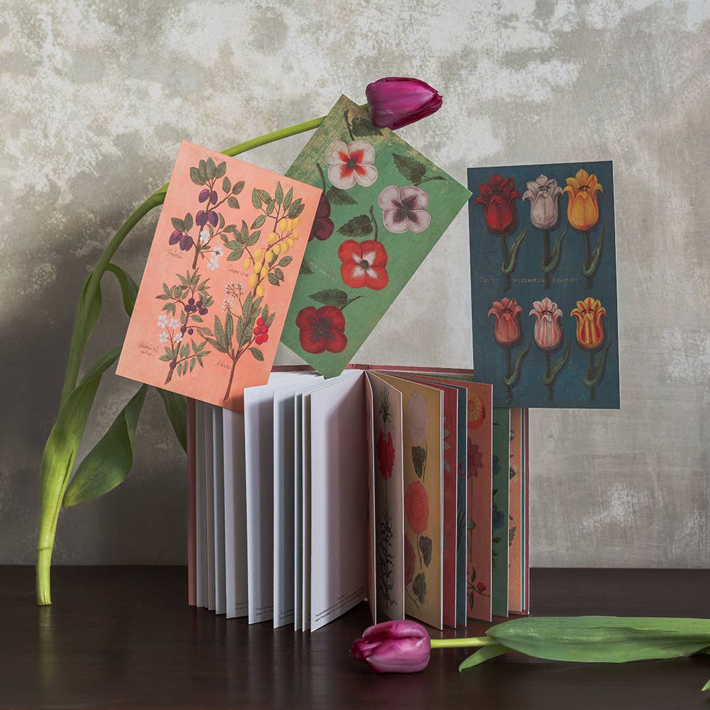 Carnet de 24 cartes postales - Fête des fleurs-