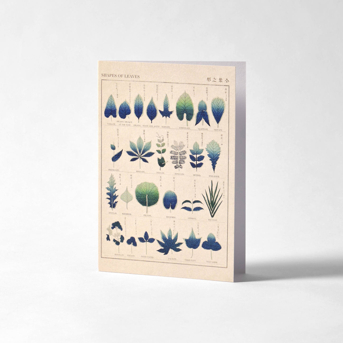 Carte de vœux - Formes de feuilles - artiste japonais