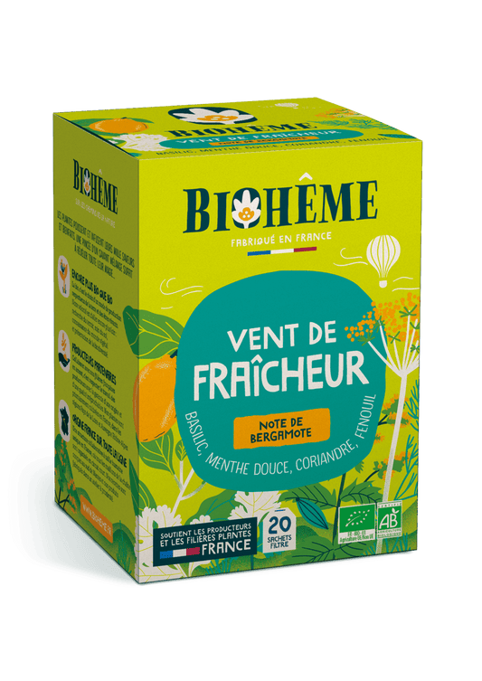 Infusion Vent De Fraicheur - X20 Infusettes Bio