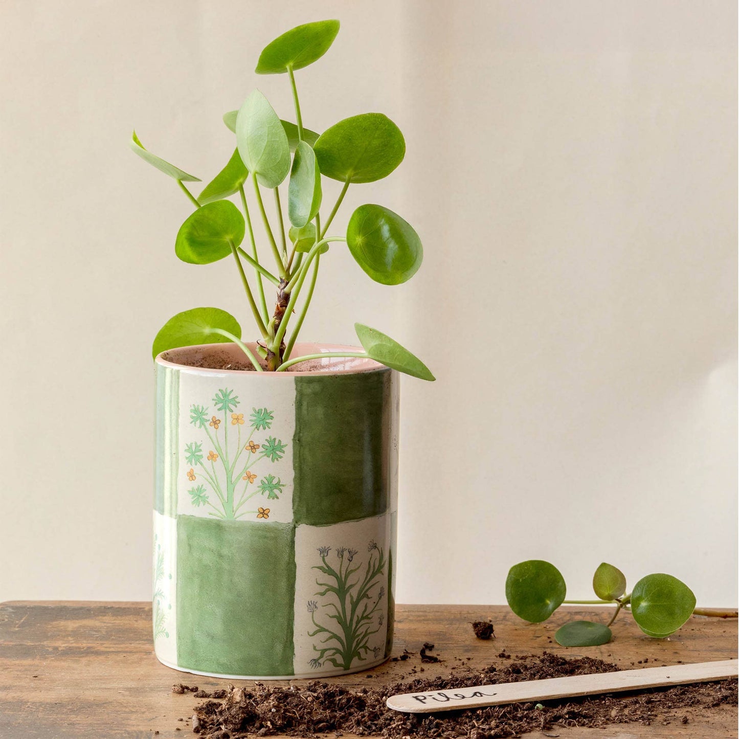 Pot Tout en Céramique - 15e Herbes Illustrées