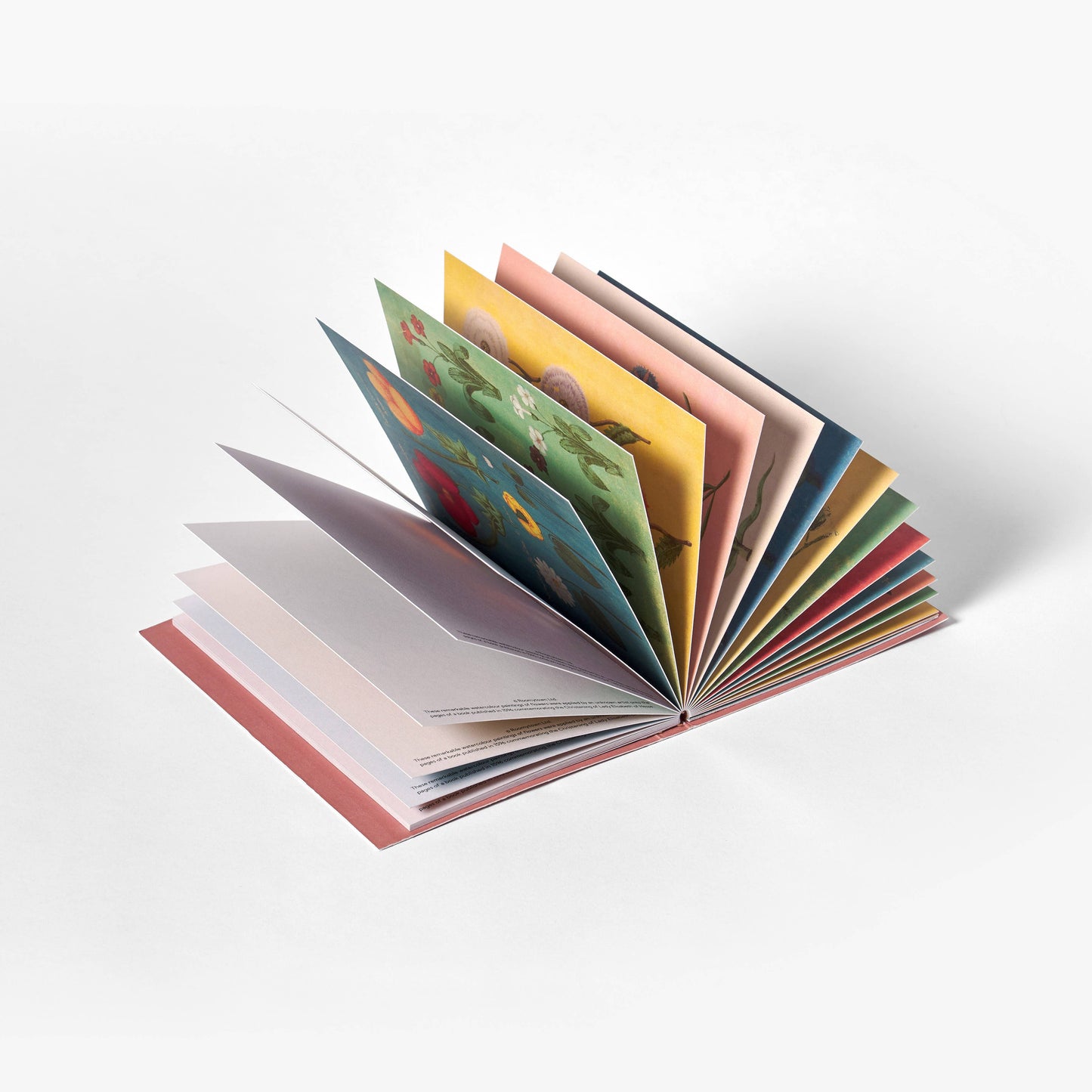 Carnet de 24 cartes postales - Fête des fleurs-