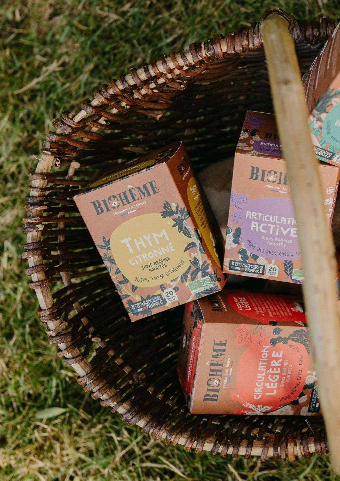 Infusion Thym Citronné - X20 Infusettes Bio