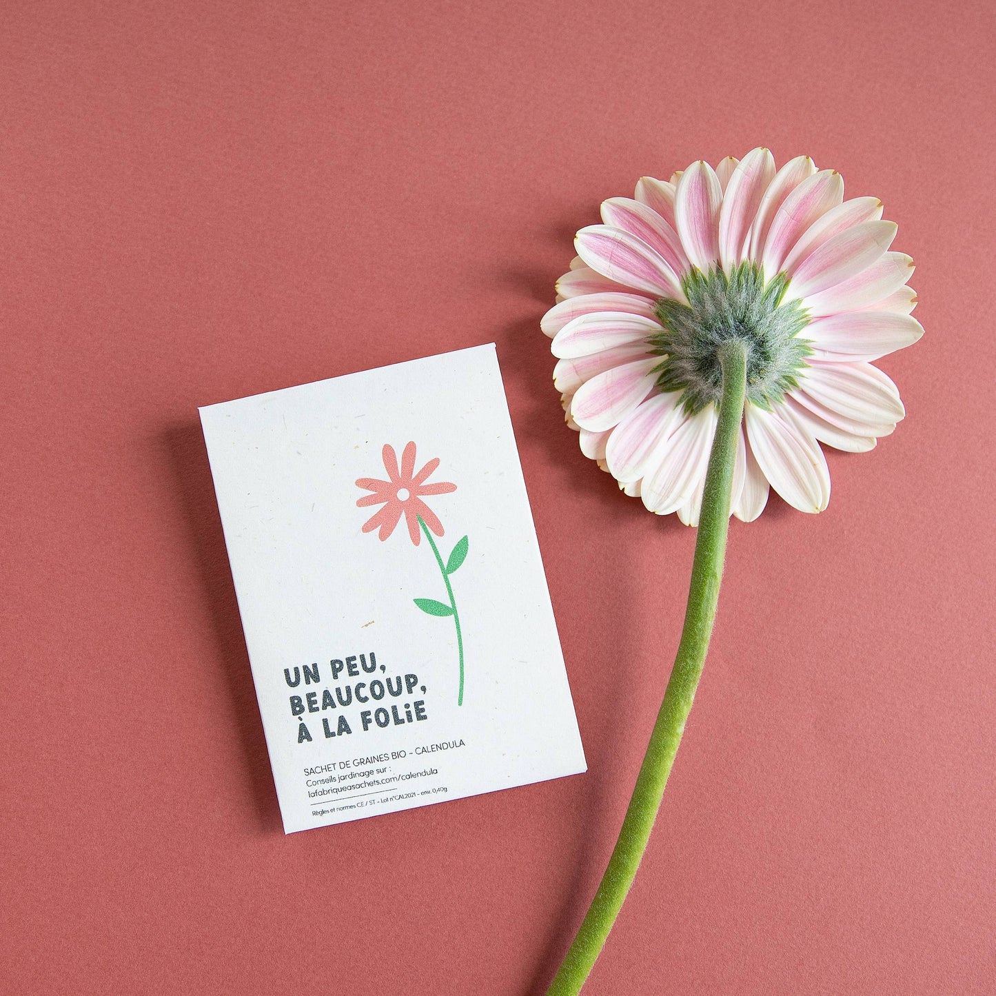 Un peu, beaucoup, à la folie - Sachet de graines Calendula