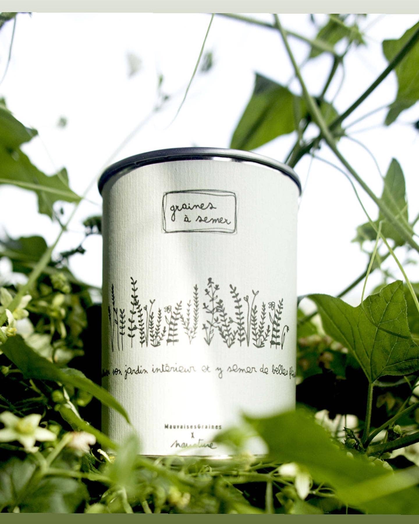 Kit à semer "Jardin Intérieur" fabriqué en France