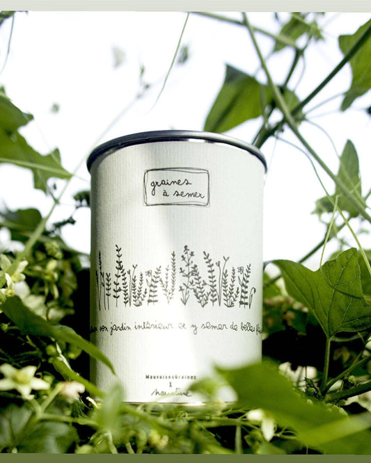 Kit à semer "Jardin Intérieur" fabriqué en France